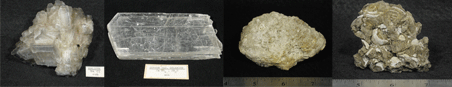 Halite, Gypsum Selenite, Limestone, and limestone with sea creatures